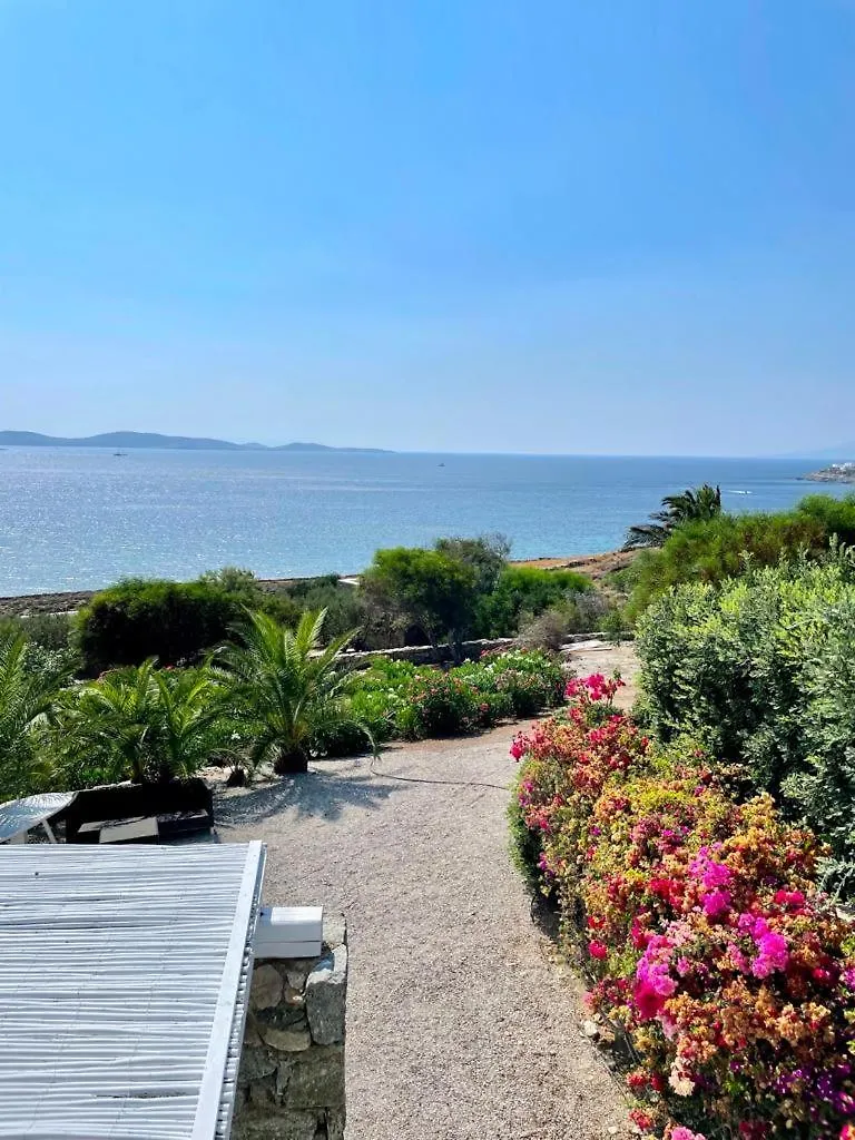 Laguna Blue Villa Mykonos Town